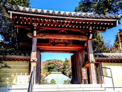 鎌倉五山で最後に訪れたのは鎌倉五山の第5位、浄妙寺だ。