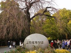 上野-2　上野動物園b  　　　39/　　26