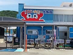 エビとカニの水族館