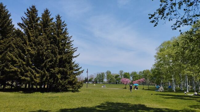 前田森林公園で食べましょ
