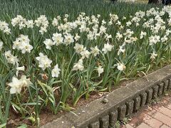 勝田駅からバスでひたち海浜公園にやって来ました！