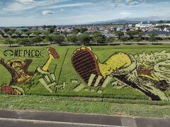 こちらが第二田んぼアート展望台から見た風景。
植える稲の種類などを変えて計算しつくして植えてあるそうで、考えた人もすごいな～と。
一見の価値あり。そばに田んぼアート駅というかわいい駅もありました。

この田んぼの周りには色々なレンタサイクルがあって、娘が３人乗りの自転車に乗りたいというので１回２００円で回ってみました。結構きつかったけど、見るだけじゃなくてこういう体験もいいよね。

ここへきて初めて、ここが第二アートだということを知る。
せっかくなので第一にも行ってみましょう。