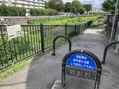 団地のすぐ目の前を流れる野川。