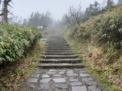 八幡平山頂遊歩道