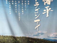 5月下旬から6月上旬の短い期間に見られる、八幡平ドラゴンアイ。

いわゆる、開眼した状態が見頃。
ただ沼・空・天候などの、条件が揃ったときにしか見られないのだとか。