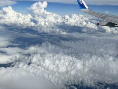 飛行機での移動