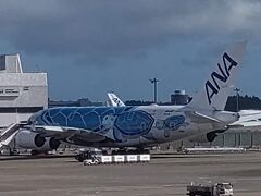 　空港に到着すると、まだ搭乗口に来ていないフライングボヌ「ラニ」くんが見えました。
　どうやら今回私たちをハワイまで運んでくれるのは、1号機ラニくんみたいです。