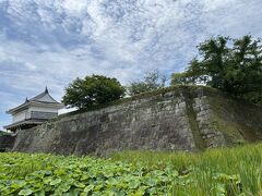 天文館からはシティビューバスに乗って、薩摩義士碑の停留場で降りて、周辺を見てまわりました。
鹿児島城。別名鶴丸城。