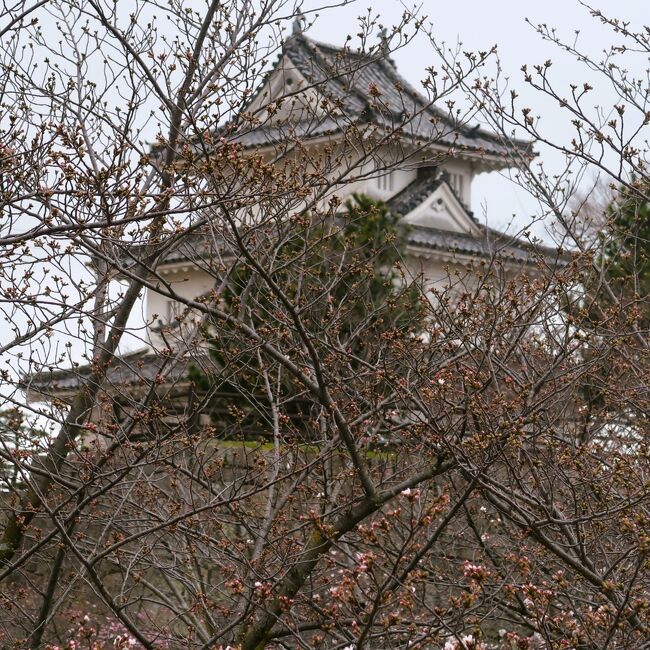 丸亀-3 丸亀城c 二の丸 井戸の伝説 ☆石垣下から見上げる御三階