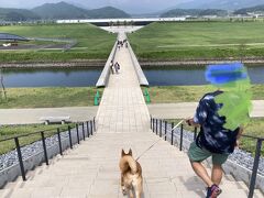 献花台を背に、道の駅の建物にむかいます。
写真奥の白い建物がそうです。伝承館も同じ建物にあります。

奇跡の一本松からくると、この階段を登らずに
献花台にこれます。

足が丈夫な方は、階段を登った先の
献花台ごしの海を眺めるのが、心にグッときそうです。

今は、青く綺麗な穏やかな海なのです。