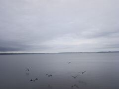 　厚岸湖辺り。天気がちょっと残念。