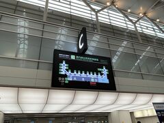 ■羽田空港第2ターミナル出発ロビー

ANAの総本山、羽田空港の第2ターミナルでは、出発便を案内する電光掲示板が撤去されていました・・・

飛行機に乗り慣れている人にとっては無くても困らないですが、飛行機にあまり乗らない人には不便すぎる気がします。

そこまでするかと思いますが、これもコストカットの一環のようです。