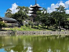 猿沢池から眺める興福寺五重塔は古都を代表する景観。
暫くの間、見れなくなりますね。