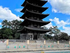今年から、興福寺五重塔（国宝）の約120年ぶりの大規模修理工事が本格化します。