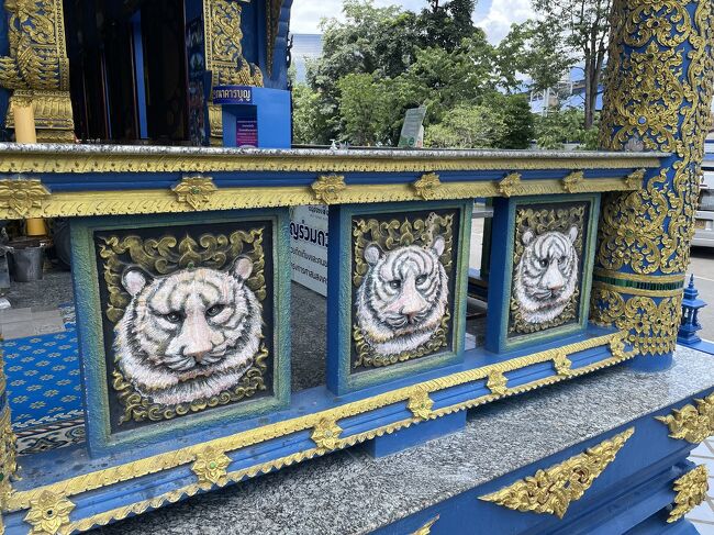 外に出るとトラ×3