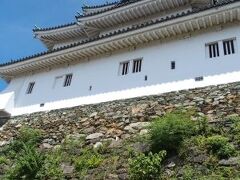 和歌山城の山を登りきって、天守閣に到着！
もとの天守閣は和歌山大空襲で焼失してしまい、こちらは復元にはなりますが、しっかりとした造り、美しい外観です。高台にあるので、ここからの眺めは素晴らしかったです。
