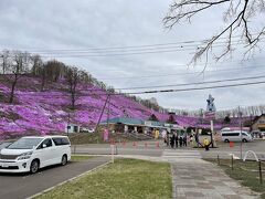 途中でピンク色の一帯を見つけて、立ち寄ってみました。
芝桜が満開で、ちょうどお祭りをやっていました。