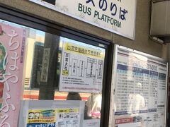 出雲市駅前から一畑バスで日御碕神社へ。バスは出雲大社で乗り換え。