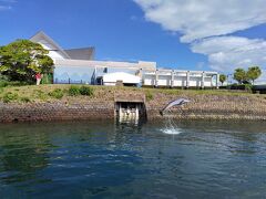 いお水路へ。
水族館の外でイルカが泳ぐ時間があります。