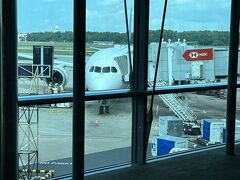 飛行機の時間が押し迫る中、ガイドさんの機転で観光を途中で切り上げ空港へ
取り敢えず無事21:45発のシンガポール行きに搭乗できました。

が、ここからが大変なことに
順調に行けばシンガポールで1:25発の予定が
最終的に翌日の16:45発に変更になり関空に着いたのは23時過ぎ
自宅に帰り着いたのは翌々日の夜中の1時を回っていました
あ～疲れた!
