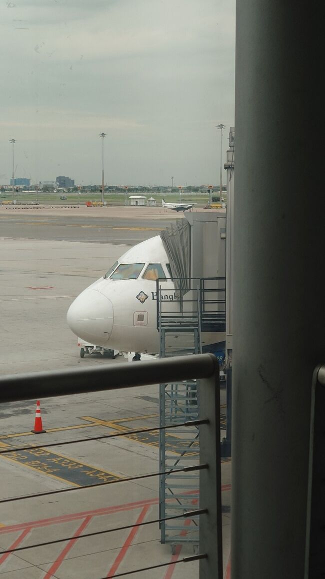 この飛行機に搭乗して来ました。