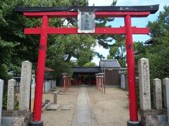 蛸地蔵駅へと戻る前、住宅街のなかに入って行くとあるのが三の丸神社。こちらはだんじり祭りの起源となった神社だそう。勧請されたのは伏見の稲荷神だそうで、それもあってお稲荷様らしく赤い鳥居になっていました。