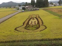 秋田内陸線沿線田んぼアート