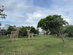 旗津海岸公園 / 海水浴場