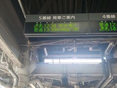 これに　乗ります