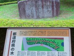都道府県の木　説明板。
４月にこちら側に来なかったので忘れずに。
