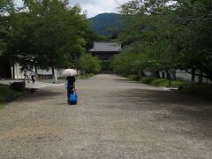 今熊野観音寺を後にし JR・地下鉄を乗り継ぎ醍醐寺へ。