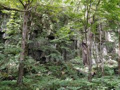 屏風岩。

奥入瀬渓流は、ブラタモリで覚えた
柱状節理…、ではなく、
板状節理なんだって...φ(．．)