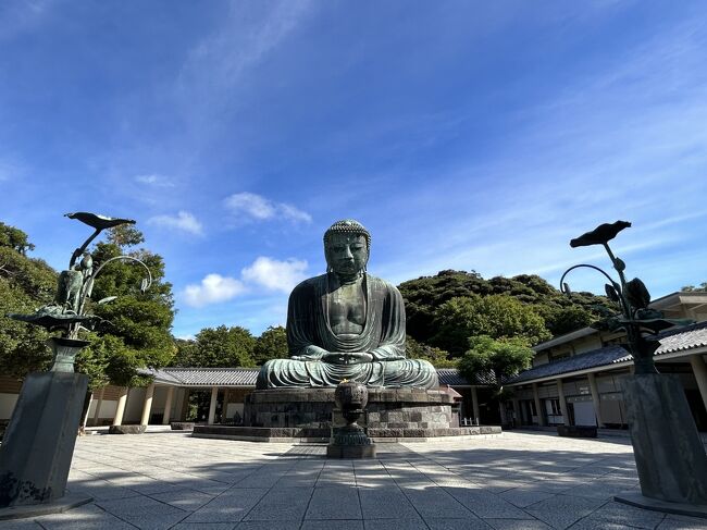 2023年9月 鎌倉大仏様に逢いに♪銭洗弁財天～鶴岡八幡宮