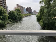 橋の上からの北上川。水量が多いです。