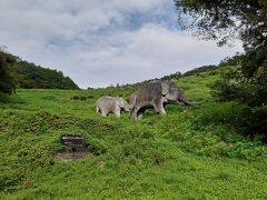 広い場所に出たかと思ったら唐突に親子のナウマン象が現れました。
佐川ナウマンカルストです。