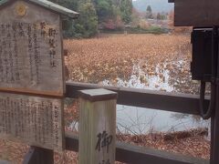 名前の通り、髪の毛の神社だそうです。
薄毛に悩んでいる人などにはお勧めの神社です。