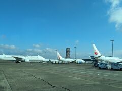 羽田空港

7時15分発
山形行のJAL便です。

朝から空港は大混雑。
夏休みですね～。