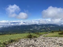 山頂から見た菅平高原。
遠くに善光寺平。
うっすら北アルプスも見えます。