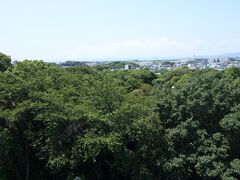 浜松城公園、中々の広さ。