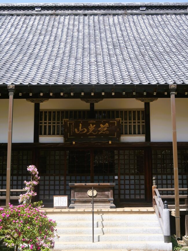 清水公園-5 金乗院 慈光山 ボタン花咲く古寺-参拝 ☆金剛力士像