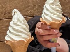 食後に北海道のアイスクリームを食べました

北海道を売りにしているお店は混んでいてどーしようかとおもっていたら、PRONTOのソフトクリームも北海道のだって宣伝していたのでここにしました。
4階でほかより目立ちにくい分、空いていたのでおすすめです。