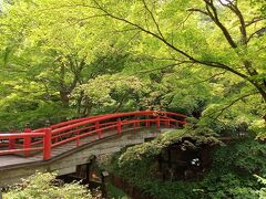 神社の裏手から緑の中をもうひと歩きして、河鹿橋までやって来ました♪新緑が美しい！来て良かった♡