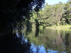 バビンダは、オーストラリアで最も雨の多い土地として有名です
（年4000ミリ以上）
森と渓谷に囲まれて、澄んだ水に緑が映し出されて一体エメラルド色が
広がる天然のプール