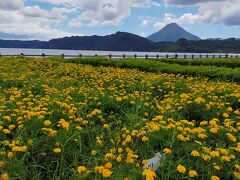 続いて池田湖。ネッシーはいなかったなあ。