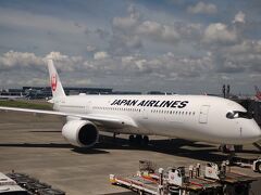 旅の始まりは羽田空港から。
この横にはディズニーラッピングがされた飛行機もありました。