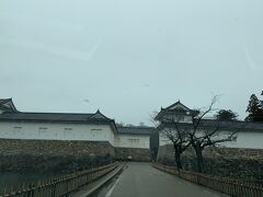 翌朝、彦根城を訪れます。