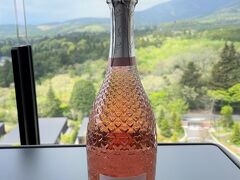 自宅でいつも飲んでいるロゼのスパークリングワインを持参しました。

アメリカやイギリスで人気を博した歌手のカイリー・ミノーグさんが
プロデュースしたピンク色のプロセッコです。
ボトルにはハートのモチーフが施されていて、とてもキュートです☆

＜スパークリングワインロゼ＞
〇 カイリー・ミノーグ プロセッコ ロゼ
　 （Kylie Minogue Prosecco Rose）

イタリアのヴェネト州産のスパークリングワインロゼ（プロセッコ）。

https://www.kylieminoguewines.com/product/prosecco-rose/