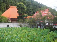 蓮（はちす）駅隣りの永国寺。その名の通り蓮池があります。