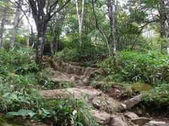 頂上までは露岩の登坂でした