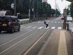 市内線は駅前ー井原ー赤岩口、井原ー運動公園のY型の路線
まずは運動公園へ向かいました
井原で分岐する線路は半径11mという、路面電車で日本一の急カーブ
白い服の人のいる辺りが線路の終端